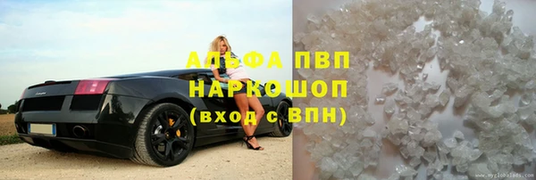 PSILOCYBIN Вуктыл