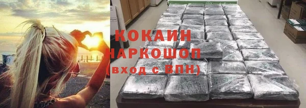 ECSTASY Ветлуга