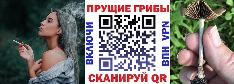 hydra вход  Кизел  Галлюциногенные грибы GOLDEN TEACHER 